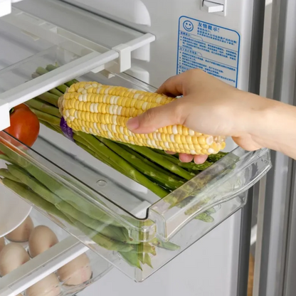 Organizador de refrigerador de frutas, estante de almacenamiento de huevos debajo del estante, cajón de refrigerador, caja de mantenimiento fresco, organizador de cocina